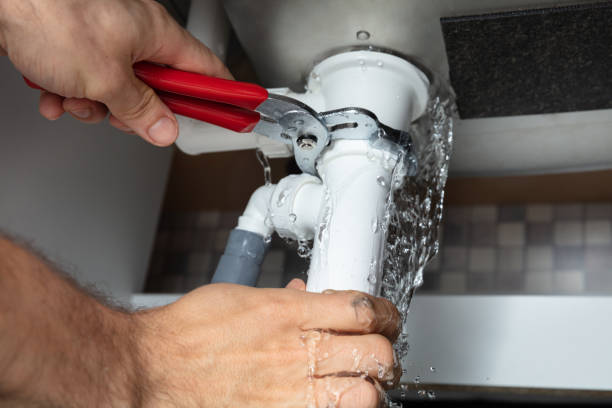 Best Water damage cleanup near me  in Mount Healthy, OH