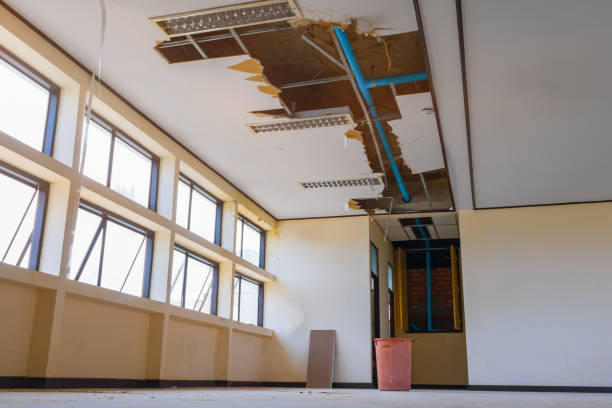Best 24/7 water damage repair  in Mount Healthy, OH