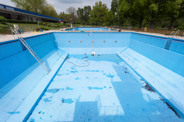 Best Water damage contractors near me  in Mount Healthy, OH