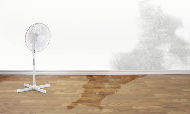 Best Flood damage cleanup  in Mount Healthy, OH