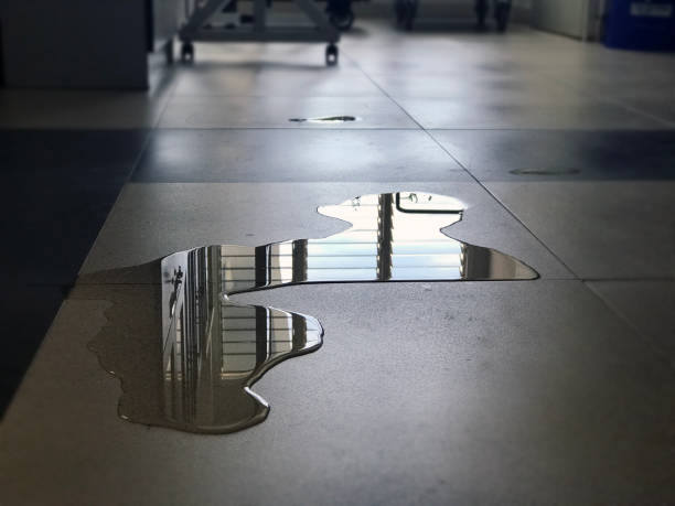 Best Commercial water damage restoration  in Mount Healthy, OH