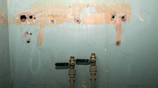 Trusted Mount Healthy, OH Water damage restoration Experts