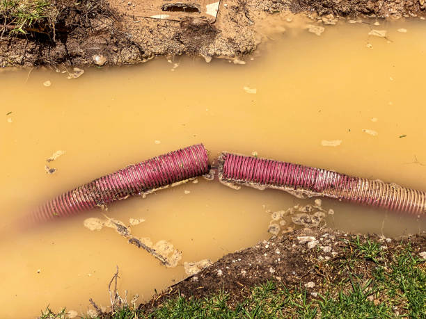 Best Mold removal after water damage  in Mount Healthy, OH