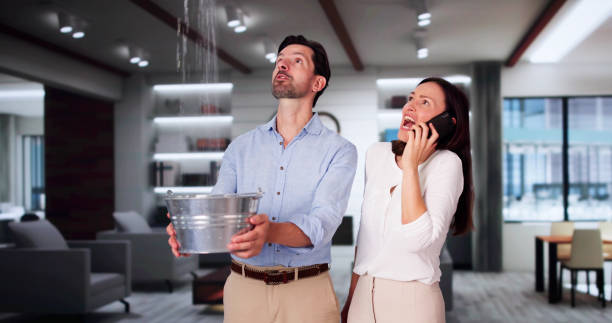 Best Basement water damage restoration  in Mount Healthy, OH