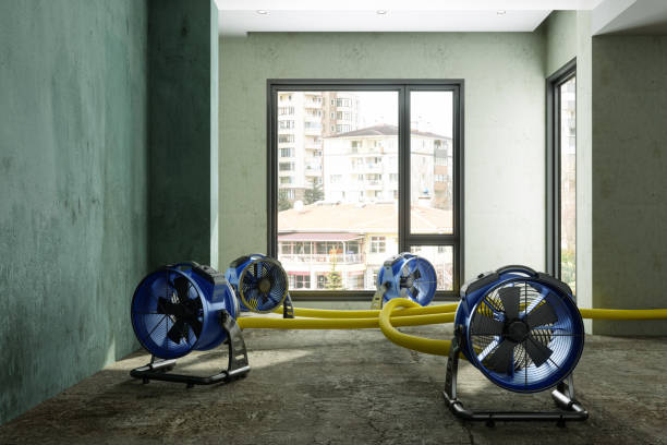 Best Ceiling water damage repair  in Mount Healthy, OH