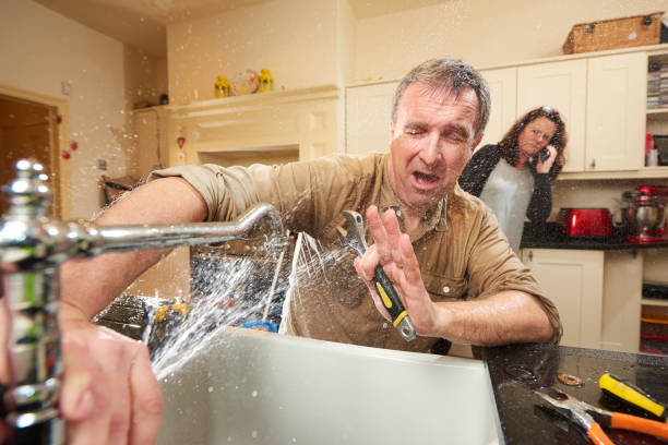 Best Carpet water damage restoration  in Mount Healthy, OH